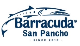 Barracuda image